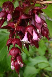 Image: Trevor James © Trevor James 